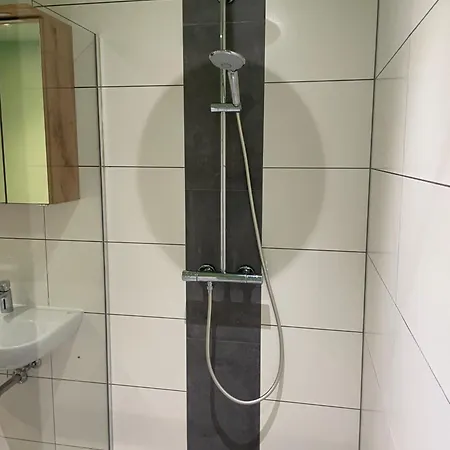 Zur Rotbuche *